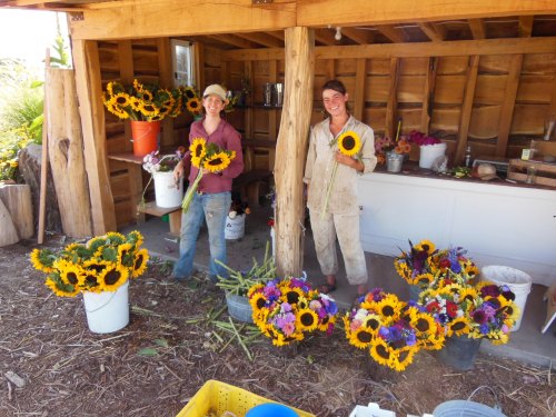 Emily & Liz arranging flowers in the farmstand